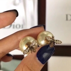 Christian Dior Earrings